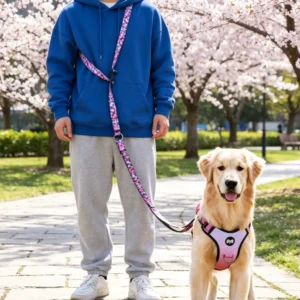 Anti-Pull Dog Leash, Hands Free Waist & Crossbody Walking Lead, Back set of car