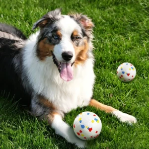 Chew Toy Ball, Bouncy Boost Material Durable Teeth Cleaning