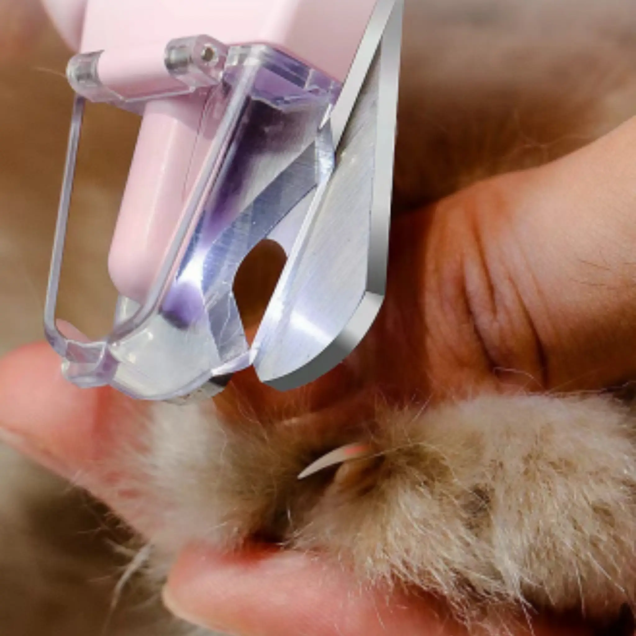 2 in 1 Pet Nail Clipper & Electric Grinder, LED Light Cat Dog Nail Trimmer USB Type-C Charging - Image 3