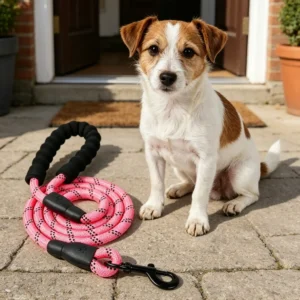 Reflective Round Nylon Dog Leash, Heavy Duty PVC Coated Lead for Medium & Large Dogs