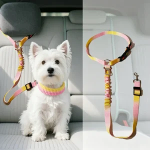 Shock Absorbing Dog Car Seat Belt, Elastic Anti-Pull Pet Vehicle Safety Harness Restraint