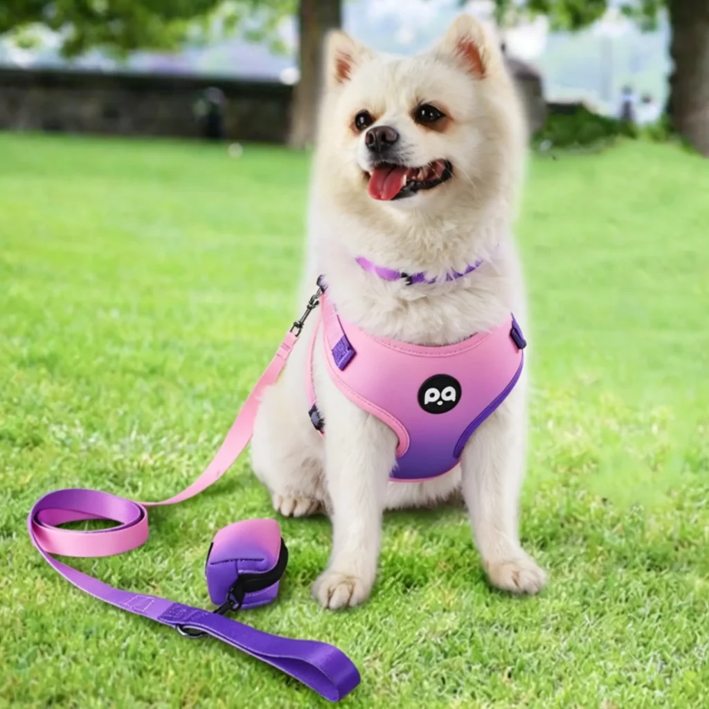 4-in-1 Dog Harness & Leash Set with Collar & Poop Bag Holder, No-Pull Adjustable Vest for Small/Medium Pets