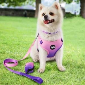 4-in-1 Dog Harness & Leash Set with Collar & Poop Bag Holder, No-Pull Adjustable Vest for Small/Medium Pets