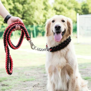 Heavy-Duty Braided Nylon Dog Leash with P-Chain, 8-Strand Rope for Medium & Large Breeds