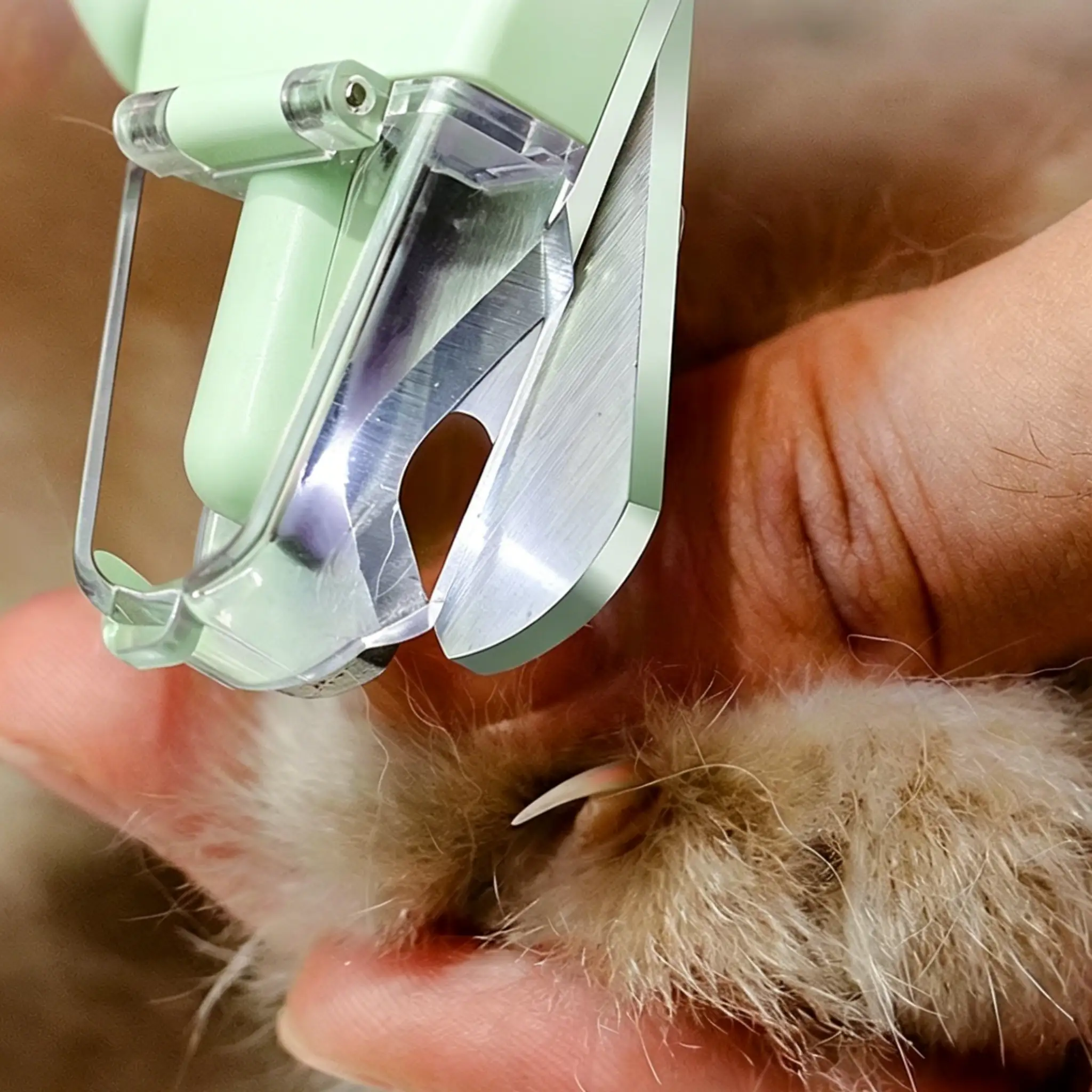 2 in 1 Pet Nail Clipper & Electric Grinder, LED Light Cat Dog Nail Trimmer USB Type-C Charging - Image 2