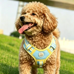 Reflective No-Pull Dog Harness, Lightweight Breathable H-Shape Adjustable Escape-Proof Vest