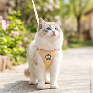 Lightweight Cat Harness & Leash Set, Breathable Summer Vest for Cats & Small Dogs